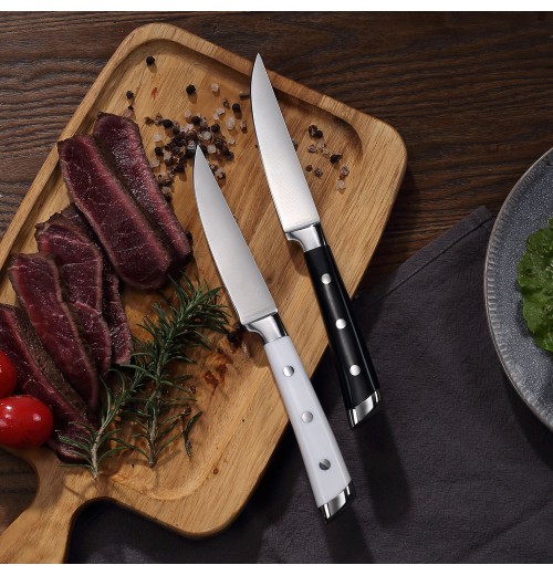 Hot Sale Premium Stainless Steel Handle Steak Knife Set for Cooking with Serrated Blades and ABS Hot Sale Premium Stainless Steel Handle Steak Knife Set for Cooking with Serrated Blades and ABS